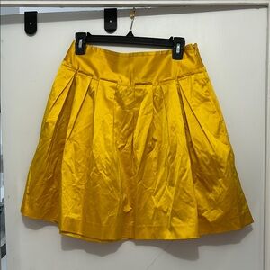 Elegant Yellow Skirt